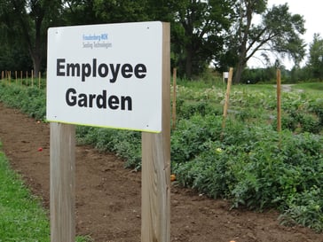 Employee Garden
